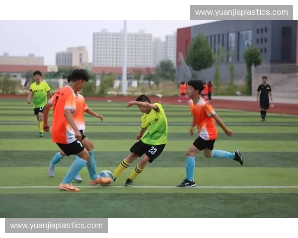 打造创新体育教育平台推动全民健身与青少年体能发展相结合的可持续发展战略