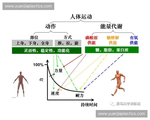 以运动结构为核心的身体机能协同机制与训练模式研究创新探索路径
