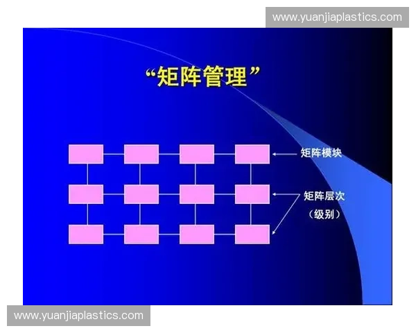 体育品牌管理公司战略创新与市场价值提升研究方案